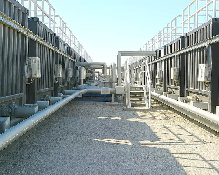 Our Projects